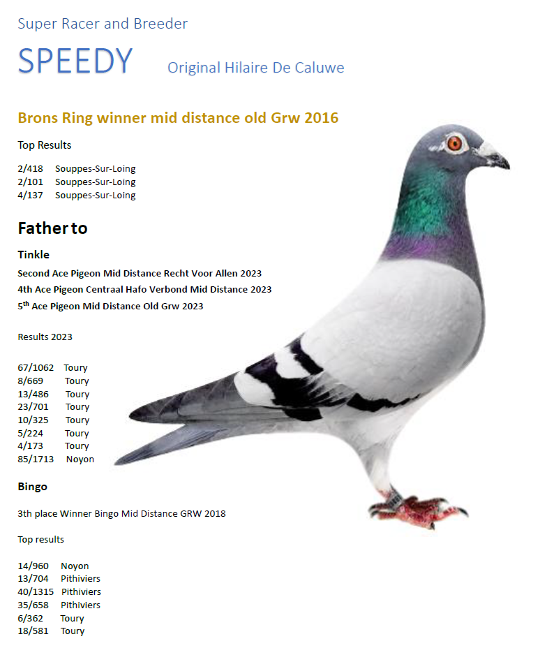 Speedy